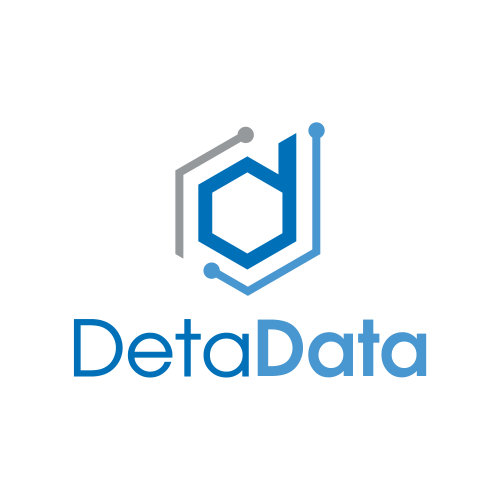DetaData Logo