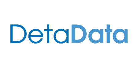DetaData Logo Text
