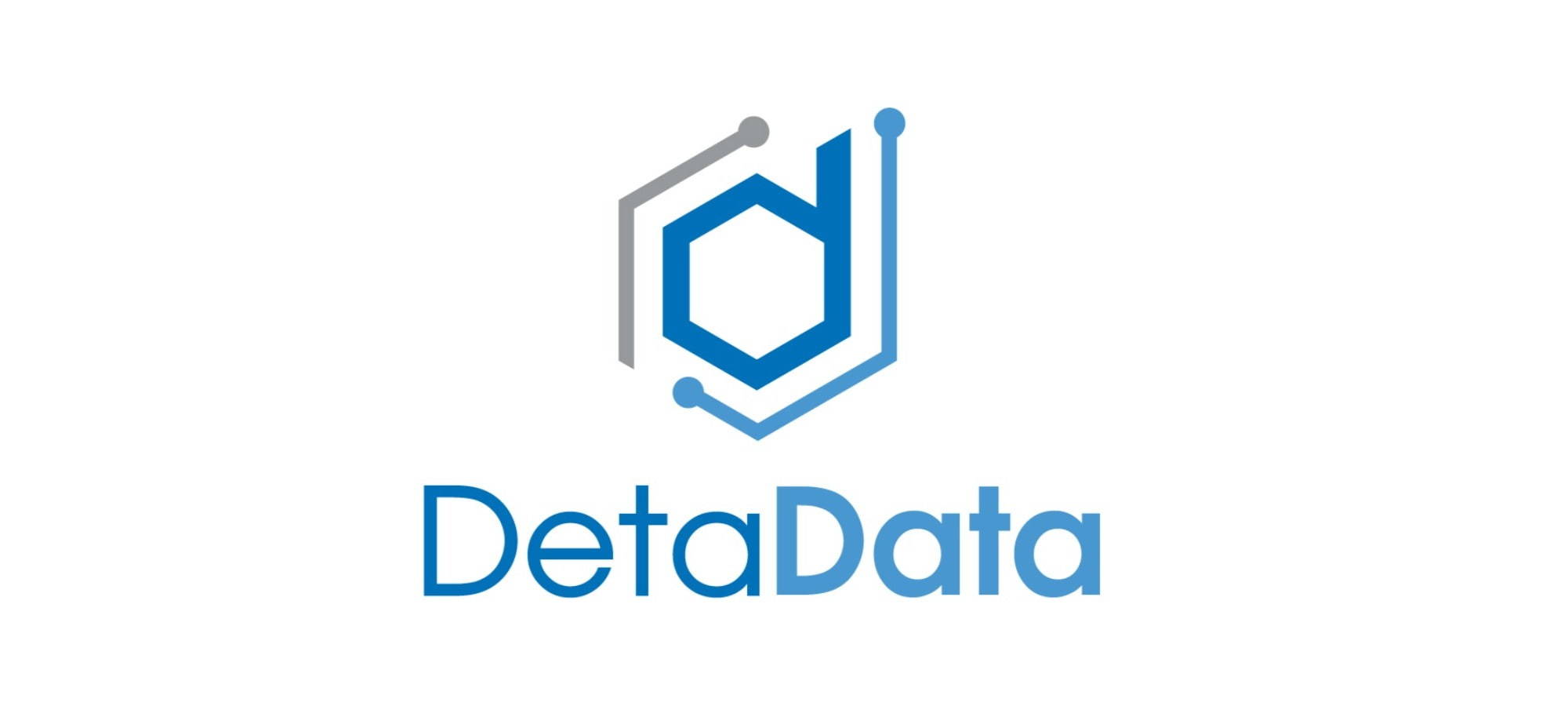 DetaData Logo